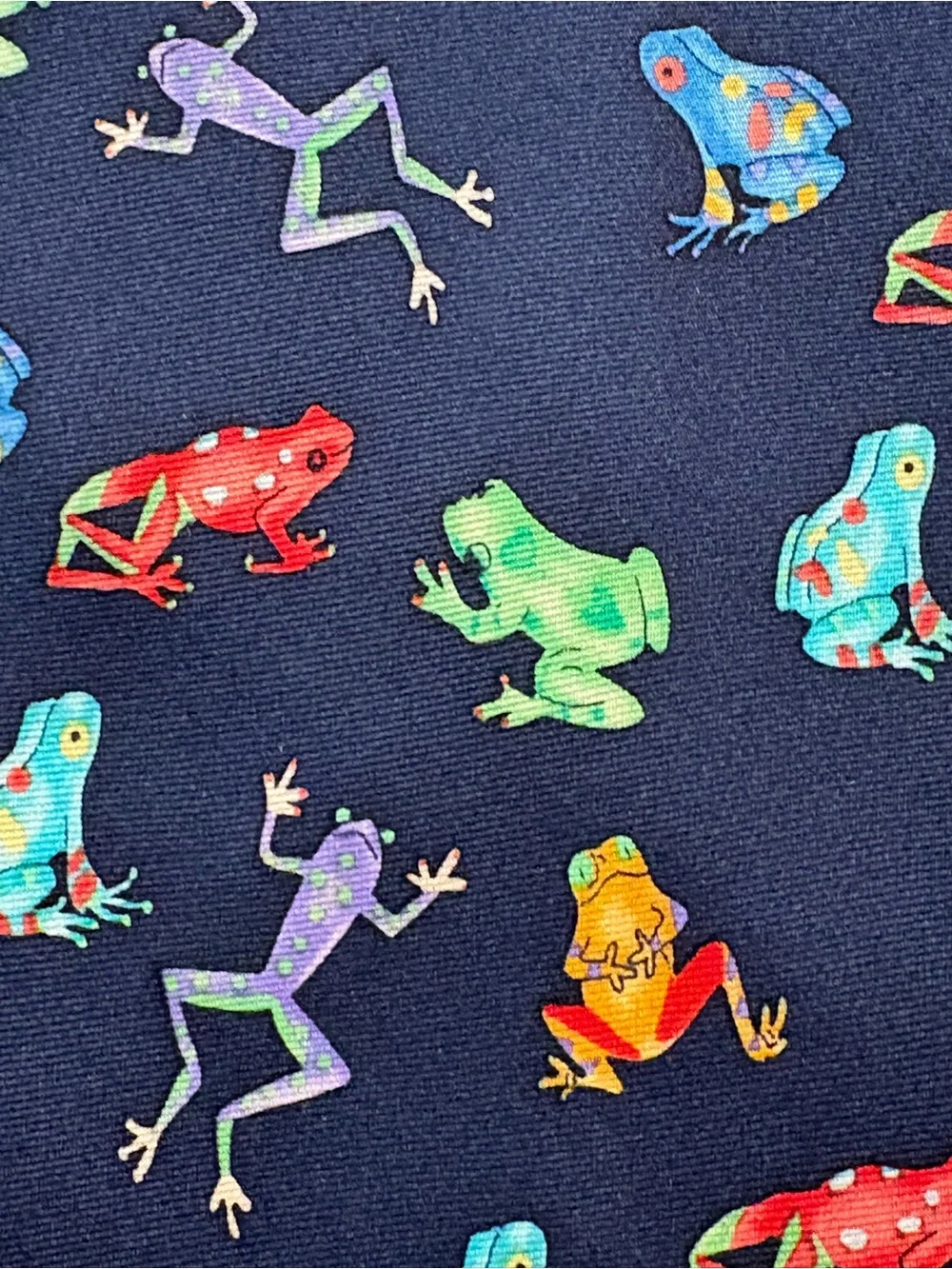 Alynn My Prince Frog Necktie Novelty Poison Dart Frog Silk Tie USA